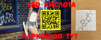 jwh Кингисепп