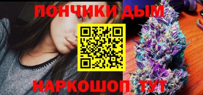 jwh Кингисепп