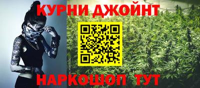 jwh Кингисепп