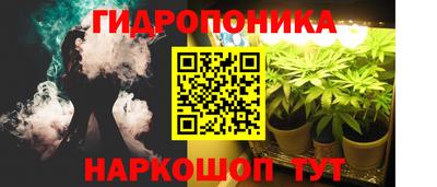 гидра Кинель