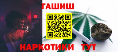 jwh Кингисепп